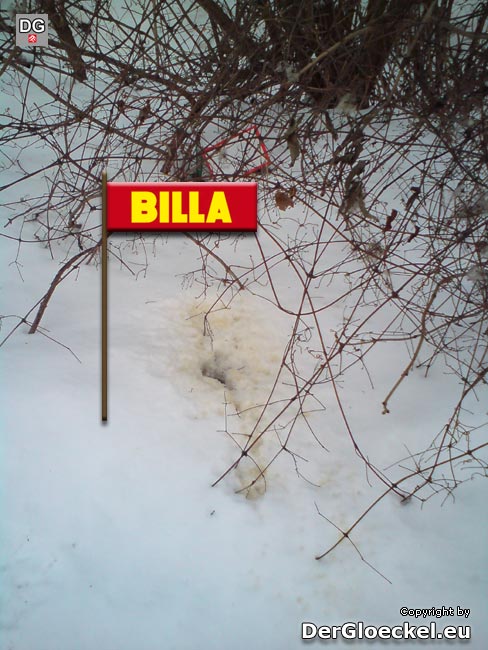 Freiluft-WC für Kunden der BILLA AG