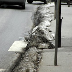 Zutritt auf den Schutzweg vor dem Rathaus