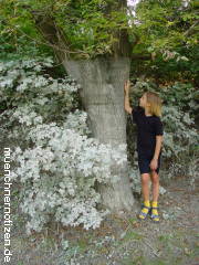 Hochwassermarke 2002 mit 9,50 m das Jahrhunderthochwasser in Hainburg/D. oder sind Steigerungen möglich?